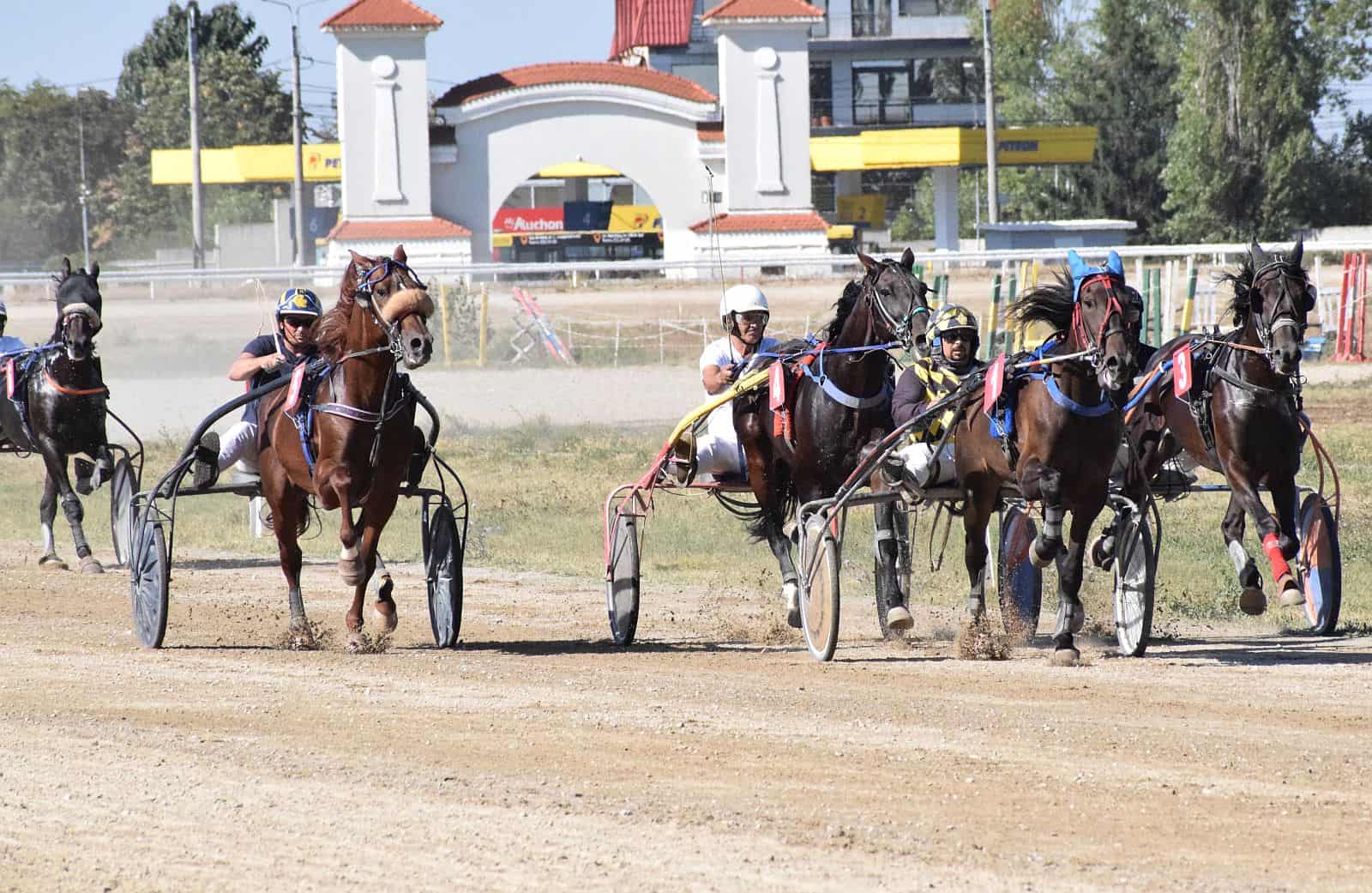 Ziua Independenței va fi sărbătorită cu 9 curse de trap și galop!