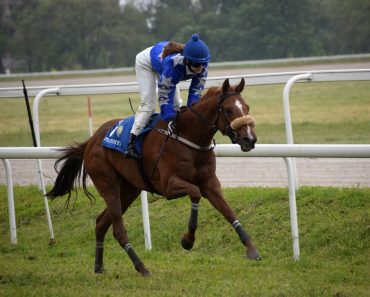 O jocheiță a fost top în cursele de galop! La trap “Vijelie” s-a impus pe ploaie și vânt puternic!
