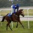O jocheiță a fost top în cursele de galop! La trap “Vijelie” s-a impus pe ploaie și vânt puternic!