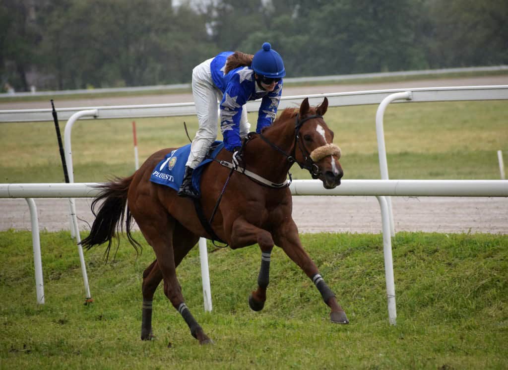O jocheiță a fost top în cursele de galop! La trap “Vijelie” s-a impus pe ploaie și vânt puternic!