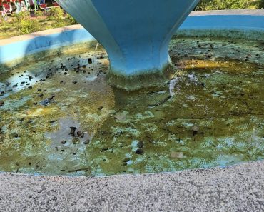 Alo, Primăria Ploiești și Poliția Locală! Dormiți? Fântâna arteziană din Parcul Eminescu, vandalizată la nici o lună de la punerea în funcțiune