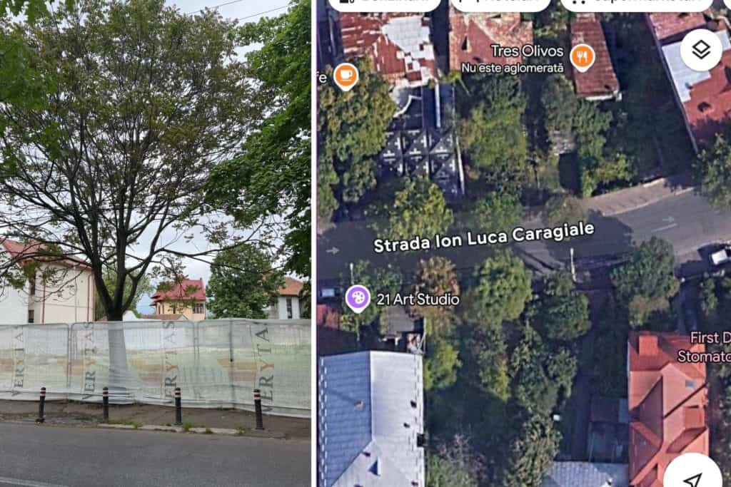 Șantier misterios, în buricul Ploieștiului. Firma Verytas, acuzată că a tăiat ilegal arbori protejați