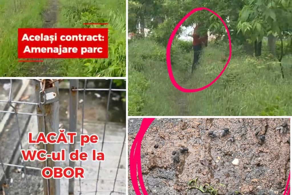 Exclusiv/ DOVADA că benzinăria MOL nu a respectat clauzele din contractul cu Primăria Ploiești / DOCUMENT