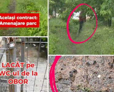 Exclusiv/ DOVADA că benzinăria MOL nu a respectat clauzele din contractul cu Primăria Ploiești / DOCUMENT