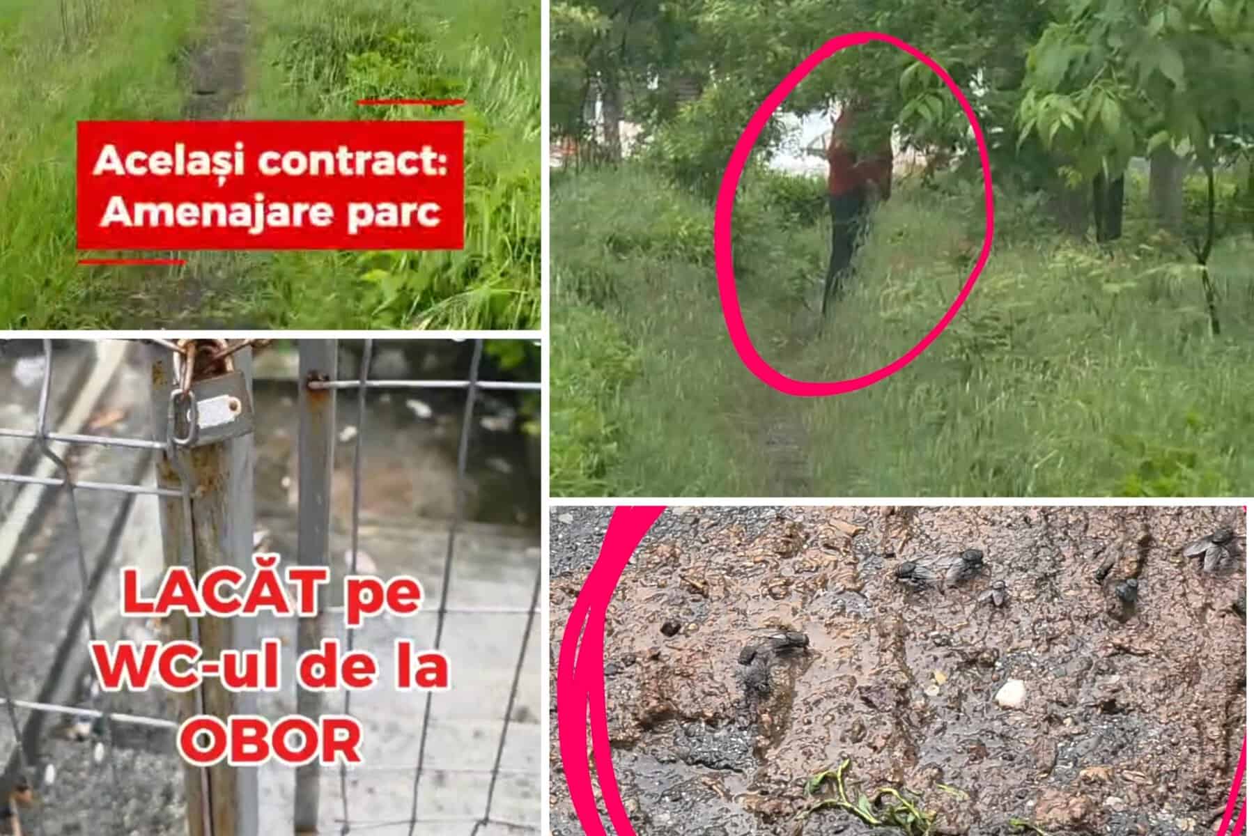 Exclusiv/ DOVADA că benzinăria MOL nu a respectat clauzele din contractul cu Primăria Ploiești / DOCUMENT Exclusiv/ DOVADA că benzinăria MOL nu a respectat clauzele din contractul cu Primăria Ploiești / DOCUMENT