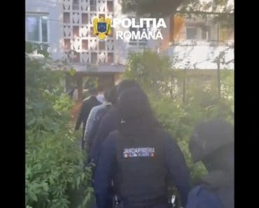 ​„Escrocul cu o mie de fețe” din Ploiești: Cum a reușit un bărbat de 31 de ani să fure 48.000 de euro folosind identități false și povești lacrimogene