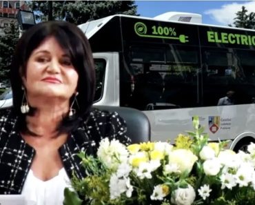 Consiliul Concurenței anchetează firma familiei Papuc (Câmpina) bănuită de trucarea unor licitații pentru achiziția de microbuze pentru elevi. Împreună cu alte 2 firme, Aveuro ar fi organizat un „cartel” pentru a ține prețul sus