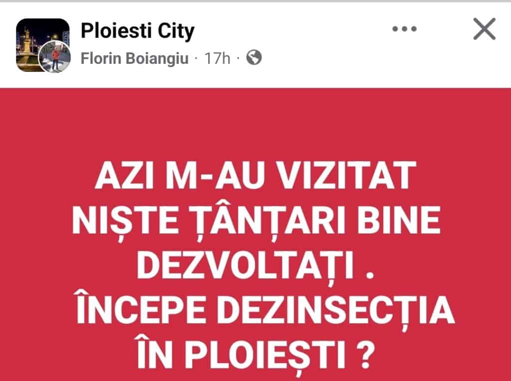 Ploieștenii, atacați de țânțari uriași: „Azi m-au vizitat niște exemplare bine dezvoltate. Când începe dezinsecția?”