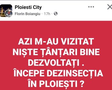 Ploieștenii, atacați de țânțari uriași: „Azi m-au vizitat niște exemplare bine dezvoltate. Când începe dezinsecția?”
