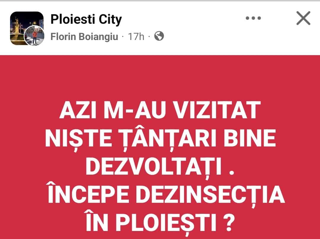 Ploieștenii, atacați de țânțari uriași: „Azi m-au vizitat niște exemplare bine dezvoltate. Când începe dezinsecția?” Ploieștenii, atacați de țânțari uriași: „Azi m-au vizitat niște exemplare bine dezvoltate. Când începe dezinsecția?”
