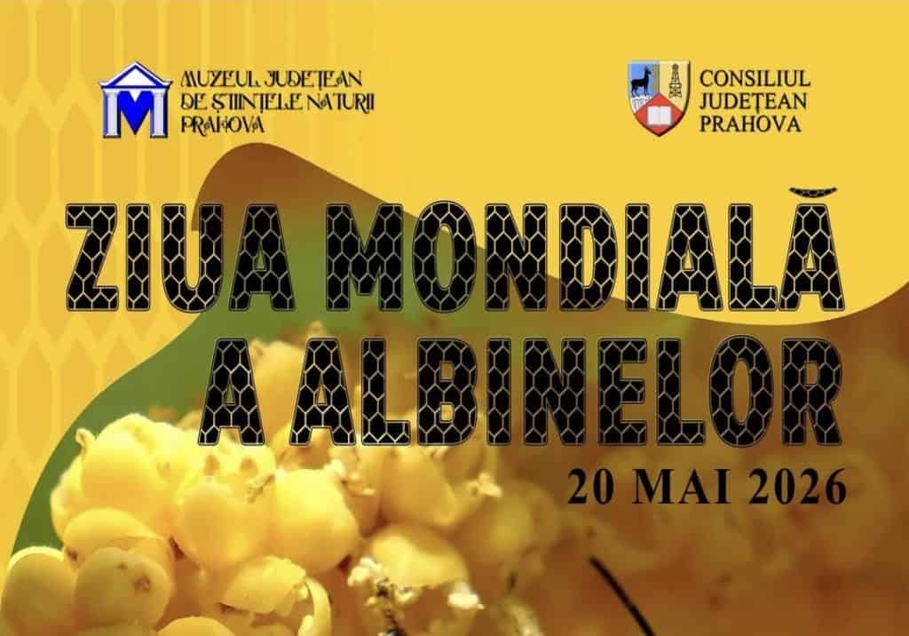 Ziua Mondială a albinelor – Muzeul Județean de Științele Naturii Prahova promovează educația ecologică prin expoziții permanente