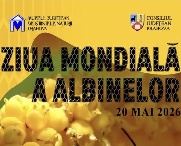 Ziua Mondială a albinelor – Muzeul Județean de Științele Naturii Prahova promovează educația ecologică prin expoziții permanente Ziua Mondială a albinelor – Muzeul Județean de Științele Naturii Prahova promovează educația ecologică prin expoziții permanente