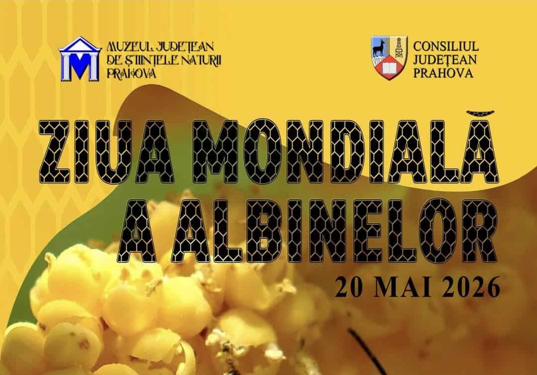 Ziua Mondială a albinelor – Muzeul Județean de Științele Naturii Prahova promovează educația ecologică prin expoziții permanente Ziua Mondială a albinelor – Muzeul Județean de Științele Naturii Prahova promovează educația ecologică prin expoziții permanente