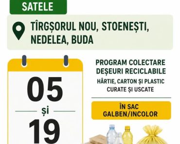 Primăria Ariceștii Rahtivani: ANUNȚ PRIVIND COLECTAREA DEȘEURILOR RECICLABILE Primăria Ariceștii Rahtivani: ANUNȚ PRIVIND COLECTAREA DEȘEURILOR RECICLABILE