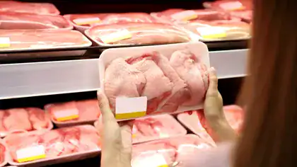 Alertă sanitară în UE, în urma tratatului comercial cu Mercosur. Circa 80% din primul lot de puiul importat din Brazilia este contaminat cu Salmonella