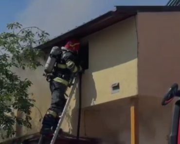 VIDEO: Incendiu în Ploiești. Pompierii au salvat doi cățeluși și o pisică