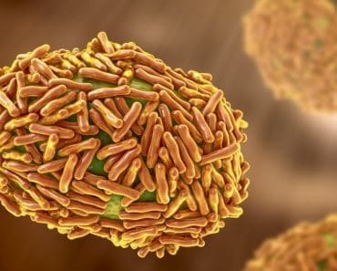 Doi cercetători au fost reținuți în SUA pentru că au încercat să introducă virusul mpox inactivat, adus din Africa
