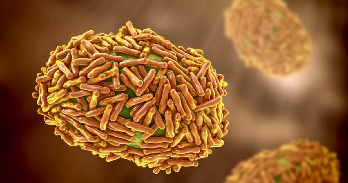 Doi cercetători au fost reținuți în SUA pentru că au încercat să introducă virusul mpox inactivat, adus din Africa