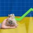 Reacție în lanț a băncilor după amenzile din dosarul ROBOR. Ce spun BT, BCR, BRD, UniCredit, CEC, Raiffeisen, ING și Exim