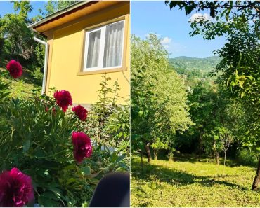 „Sub 60 000 euro n-aș da gospodăria asta“. Prețul cerut pentru o casă cu 3 camere, într-o zonă liniștită, în apropiere de Sinaia