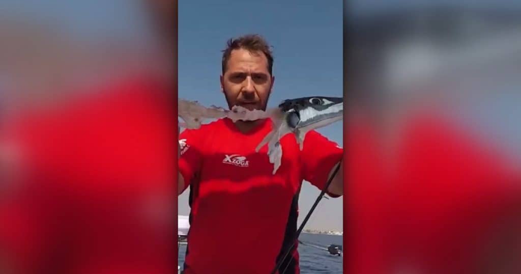 Alertă în Grecia: un pește periculos ajunge aproape de mal și poate mușca turiști. Medic: „Conține o toxină foarte periculoasă”