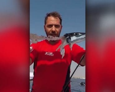 Alertă în Grecia: un pește periculos ajunge aproape de mal și poate mușca turiști. Medic: „Conține o toxină foarte periculoasă”