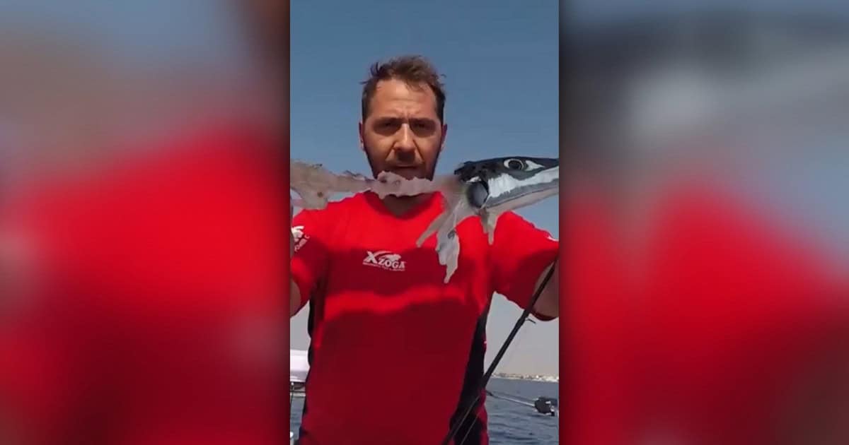 Alertă în Grecia: un pește periculos ajunge aproape de mal și poate mușca turiști. Medic: „Conține o toxină foarte periculoasă”