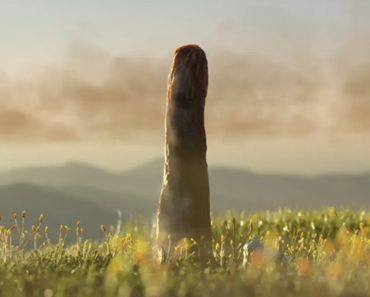 Nici plantă, nici ciupercă, cu totul altceva. Avea 8 metri și este una dintre cele mai mari enigme ale lumii preistorice Nici plantă, nici ciupercă, cu totul altceva. Avea 8 metri și este una dintre cele mai mari enigme ale lumii preistorice