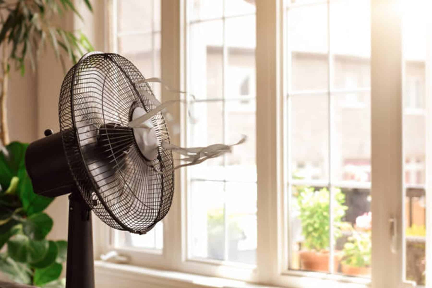 Două băuturi populare care îți pot face rău vara. Medicii spun că sunt de evitat în zilele caniculare