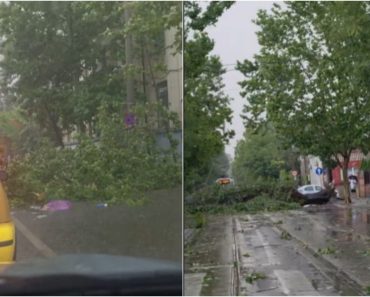 O furtună violentă a făcut prăpăd în București. Un bărbat a murit după ce un copac a căzut peste mașina pe care o conducea