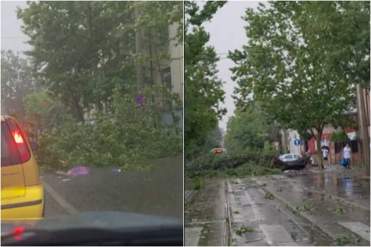 O furtună violentă a făcut prăpăd în București. Un bărbat a murit după ce un copac a căzut peste mașina pe care o conducea