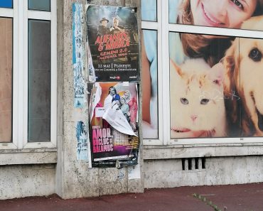 „Ploieștiul cel viu”, o spoială peste mizerie. Administrația „pâine și circ” ține oamenii ocupați cu paranghelii, în timp ce șoferii își rup mașinile, iar clădirile arată ca-n anii ’90
