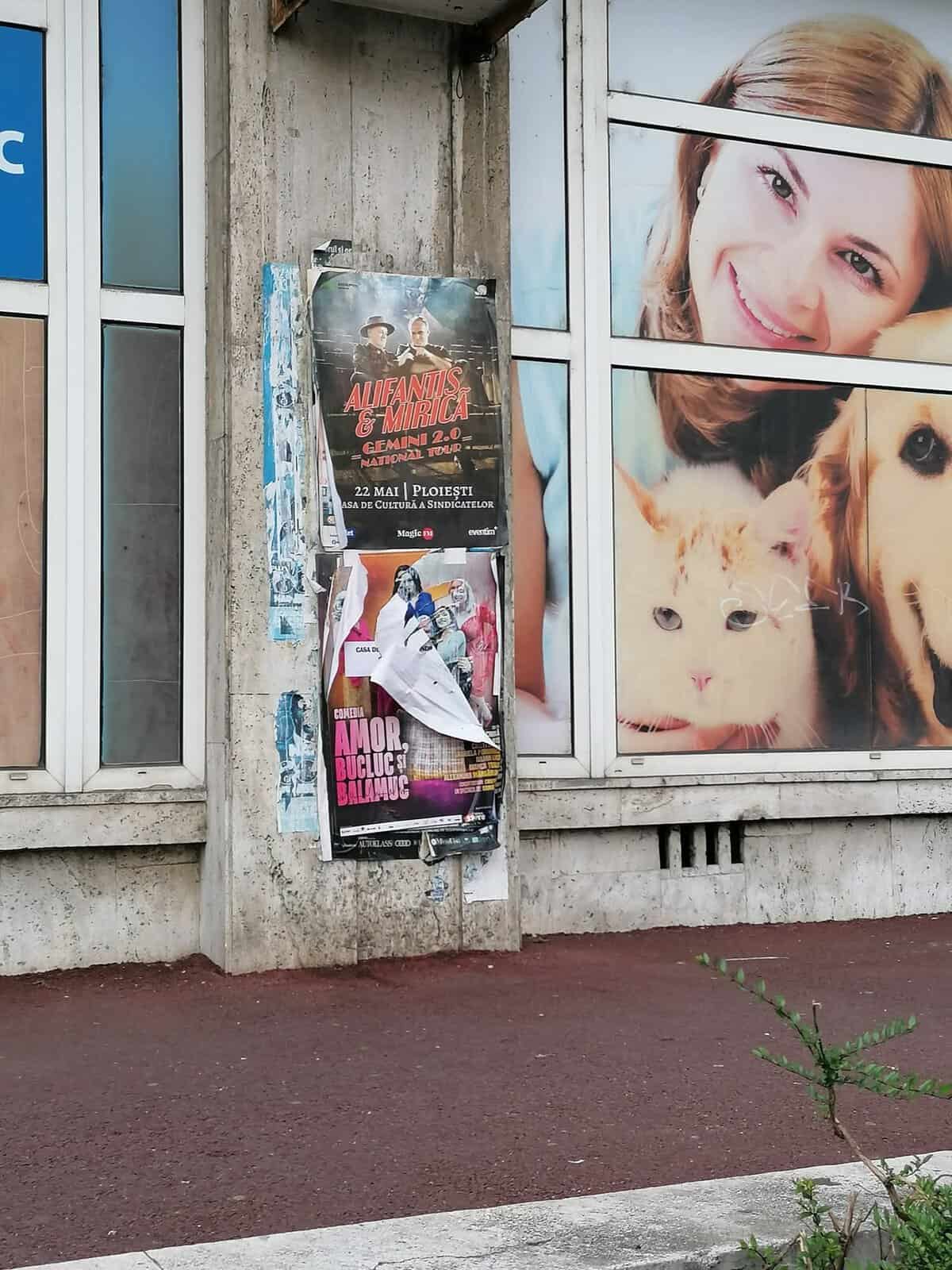 „Ploieștiul cel viu”, o spoială peste mizerie. Administrația „pâine și circ” ține oamenii ocupați cu paranghelii, în timp ce șoferii își rup mașinile, iar clădirile arată ca-n anii ’90 „Ploieștiul cel viu”, o spoială peste mizerie. Administrația „pâine și circ” ține oamenii ocupați cu paranghelii, în timp ce șoferii își rup mașinile, iar clădirile arată ca-n anii ’90