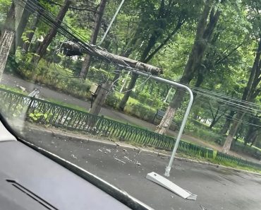 Ploieștiul se dezintegrează sub administrația Politeanu! Un stâlp de iluminat s-a prăbușit pe carosabil și a tras după el firele electrice
