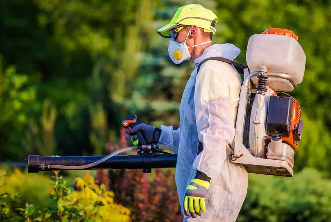 Primăria Blejoi anunță începerea programului de dezinsecție. Recomandări pentru populație