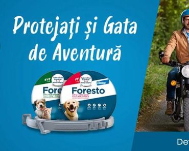 Protecție de lungă durată pentru câini: de ce tot mai mulți proprietari aleg zgarda antiparazitară Foresto Protecție de lungă durată pentru câini: de ce tot mai mulți proprietari aleg zgarda antiparazitară Foresto