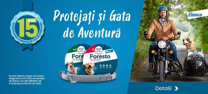 Protecție de lungă durată pentru câini: de ce tot mai mulți proprietari aleg zgarda antiparazitară Foresto