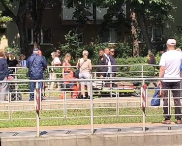 Accident în Ploiești, pe Șoseaua Vestului. O femeie a fost lovită pe trecere de un biciclist. Trafic paralizat, circulația tramvaielor este blocată! Accident în Ploiești, pe Șoseaua Vestului. O femeie a fost lovită pe trecere de un biciclist. Trafic paralizat, circulația tramvaielor este blocată!