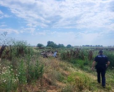 Un bărbat care a abandonat deșeuri din construcții a rămas fără camionetă Un bărbat care a abandonat deșeuri din construcții a rămas fără camionetă