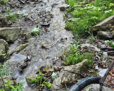 Primăria Valea Doftanei: Verificarea captărilor de apă ne-a încărcat cu o nouă problemă Primăria Valea Doftanei: Verificarea captărilor de apă ne-a încărcat cu o nouă problemă