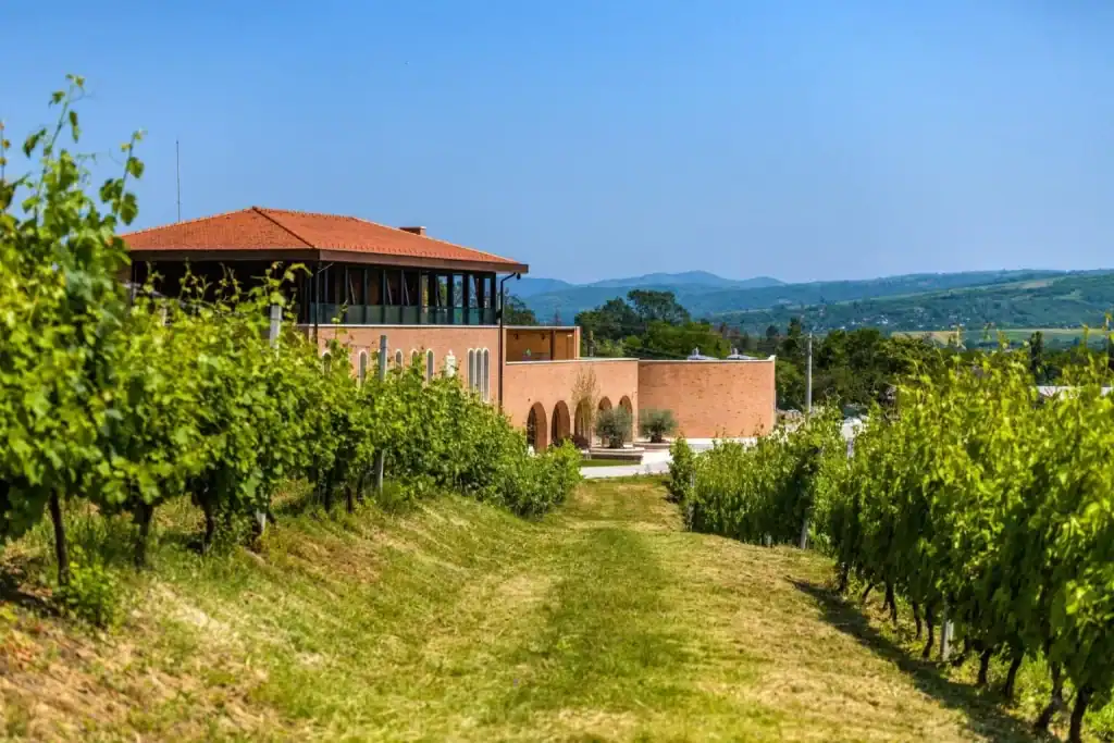 Podgoriile lui Dumnezeu: Jurații Concursului Internațional de Vinuri Vinarium au vizitat Cooperativa Via Domnului de la Mănăstirea Jercălăi, Prahova