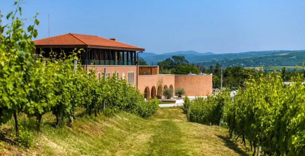 Podgoriile lui Dumnezeu: Jurații Concursului Internațional de Vinuri Vinarium au vizitat Cooperativa Via Domnului de la Mănăstirea Jercălăi, Prahova