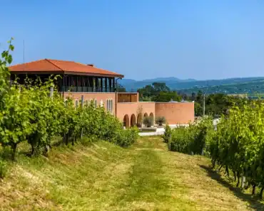 Podgoriile lui Dumnezeu: Jurații Concursului Internațional de Vinuri Vinarium au vizitat Cooperativa Via Domnului de la Mănăstirea Jercălăi, Prahova