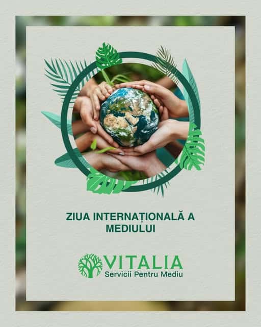 Vitalia Mediu: Astăzi am sărbătorit natura și importanța protejării ei
