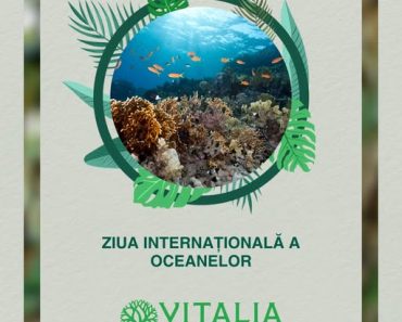 Vitalia Mediu: Azi este Ziua Mondială a Oceanelor!