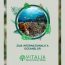 Vitalia Mediu: Azi este Ziua Mondială a Oceanelor!
