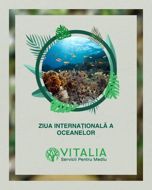 Vitalia Mediu: Azi este Ziua Mondială a Oceanelor! Vitalia Mediu: Azi este Ziua Mondială a Oceanelor!