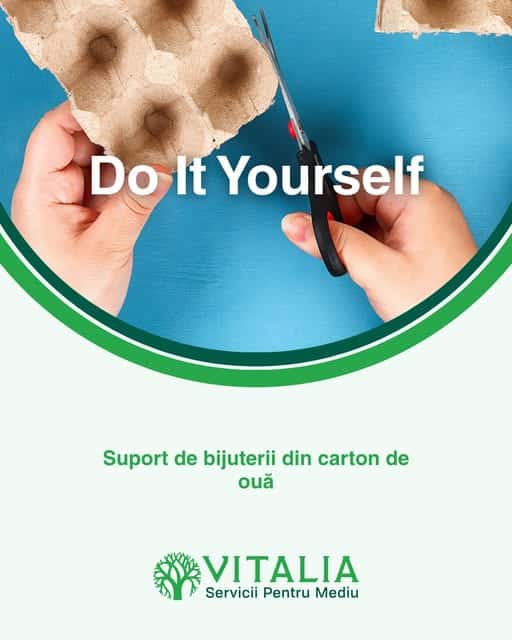 Vitalia Mediu: ORGANIZARE PENTRU BIJUTERII!