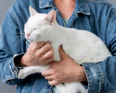 Boala rară care se răspândește în Europa. Medicii au identificat zeci de cazuri la oameni, deși inițial doar animalele erau afectate Boala rară care se răspândește în Europa. Medicii au identificat zeci de cazuri la oameni, deși inițial doar animalele erau afectate