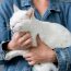 Boala rară care se răspândește în Europa. Medicii au identificat zeci de cazuri la oameni, deși inițial doar animalele erau afectate